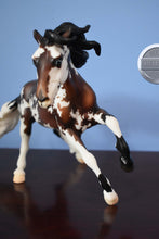 Load image into Gallery viewer, Moon Warrior-HTF-Connoisseur Exclusive-Nokota Mold-With Bag and COA-Breyer Traditional