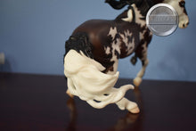 Load image into Gallery viewer, Moon Warrior-HTF-Connoisseur Exclusive-Nokota Mold-With Bag and COA-Breyer Traditional