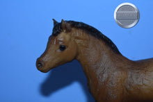 Load image into Gallery viewer, Chestnut Blanket Stock Horse Foal-Phantom Wings Mold-Breyer Traditional