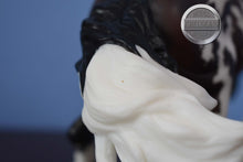 Load image into Gallery viewer, Moon Warrior-HTF-Connoisseur Exclusive-Nokota Mold-With Bag and COA-Breyer Traditional