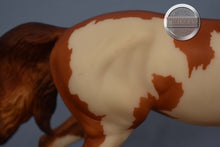 Load image into Gallery viewer, Moondance-Mustang Mare Mold-Breyer Traditional