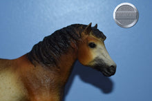 Load image into Gallery viewer, Sari-Misty Mold-Breyer Traditional