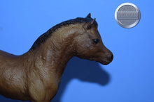 Load image into Gallery viewer, Chestnut Blanket Stock Horse Foal-Phantom Wings Mold-Breyer Traditional