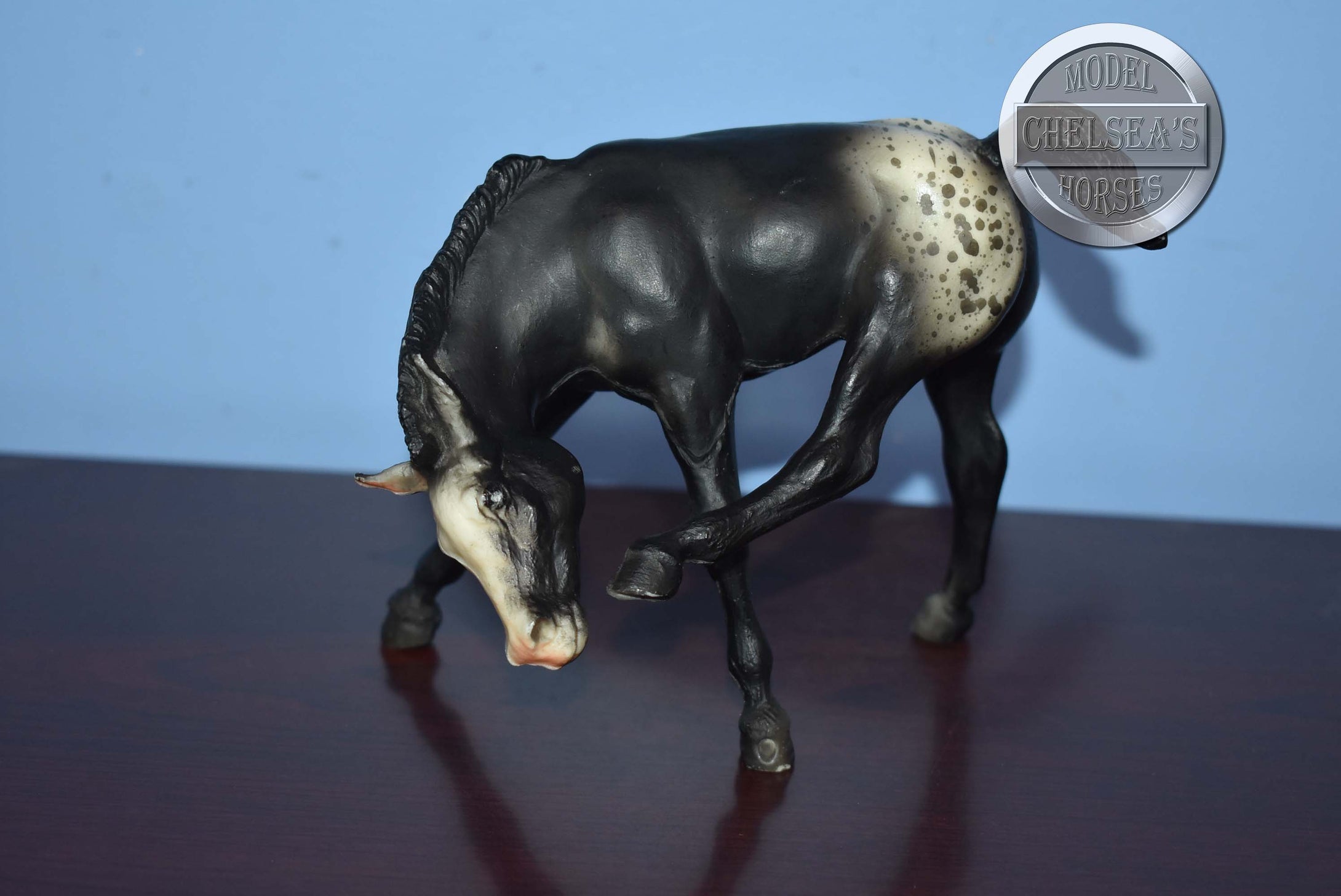 Appaloosa Black Scratching Foal-Scratching Foal Mold-Breyer Traditional
