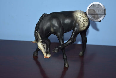 Appaloosa Black Scratching Foal-Scratching Foal Mold-Breyer Traditional