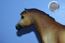 Load image into Gallery viewer, Sari-Misty Mold-Breyer Traditional