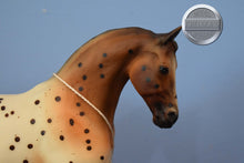 Load image into Gallery viewer, Flabbehoppen-Jamboree Exclusive-Misty&#39;s Twilight Mold-Breyer Traditional