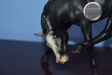Load image into Gallery viewer, Appaloosa Black Scratching Foal-Scratching Foal Mold-Breyer Traditional