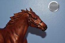 Load image into Gallery viewer, Copper Chestnut Pacer-Pacer Mold-Breyer Traditional