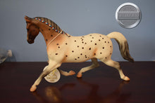 Load image into Gallery viewer, Flabbehoppen-Jamboree Exclusive-Misty&#39;s Twilight Mold-Breyer Traditional