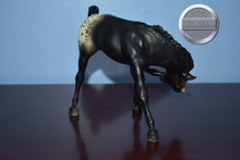 Load image into Gallery viewer, Appaloosa Black Scratching Foal-Scratching Foal Mold-Breyer Traditional