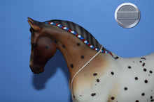 Load image into Gallery viewer, Flabbehoppen-Jamboree Exclusive-Misty&#39;s Twilight Mold-Breyer Traditional