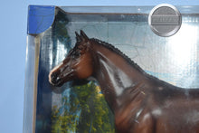 Load image into Gallery viewer, Chablis-Breyerfest Exclusive-Idocus Mold-New in Box-Breyer Traditional