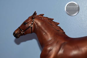 Copper Chestnut Pacer-Pacer Mold-Breyer Traditional