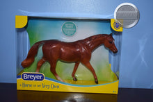 Load image into Gallery viewer, Copper Chestnut Thoroughbred-Thoroughbred Walking Mold-Breyer Classic