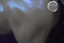 Load image into Gallery viewer, Zena-Unicorn Shagya Arabian Mold-Breyer Traditional