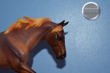 Load image into Gallery viewer, Matte Roan Seven Arts Surprise-Breyerfest Exclusive-Australian Stock Horse Mold-Breyer Traditional