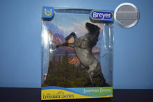Load image into Gallery viewer, Blue Roan Mustang-American Dream Mold-Breyer Classic