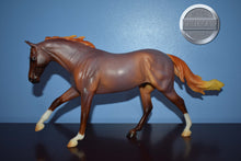 Load image into Gallery viewer, Matte Roan Seven Arts Surprise-Breyerfest Exclusive-Australian Stock Horse Mold-Breyer Traditional