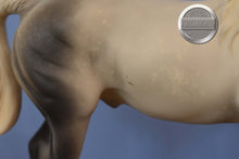 Load image into Gallery viewer, Snowflake with Blanket-Holiday Exclusive-Missouri Fox Trotter Mold-Breyer Traditional