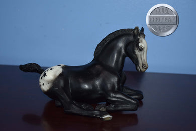Black Appaloosa Foal-Lying Foal Mold-Breyer Traditional