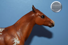 Load image into Gallery viewer, Santino-Appaloosa Version-Polo Pony Mold-Breyer Classic