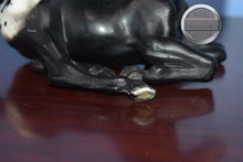 Load image into Gallery viewer, Black Appaloosa Foal-Lying Foal Mold-Breyer Traditional