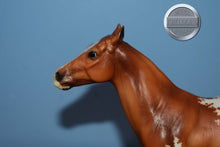 Load image into Gallery viewer, Santino-Appaloosa Version-Polo Pony Mold-Breyer Classic