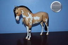 Load image into Gallery viewer, Destello-Loyalty Club Exclusive-LE of 43-Glossy-Peter Stone Andalusian
