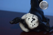Load image into Gallery viewer, Black Appaloosa Foal-Lying Foal Mold-Breyer Traditional