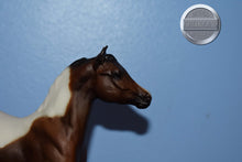 Load image into Gallery viewer, Legacy Gift Set FOAL ONLY-Standing Stock Horse Foal Mold-Breyer Traditional