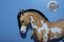 Load image into Gallery viewer, Destello-Loyalty Club Exclusive-LE of 43-Glossy-Peter Stone Andalusian