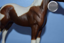 Load image into Gallery viewer, Legacy Gift Set FOAL ONLY-Standing Stock Horse Foal Mold-Breyer Traditional