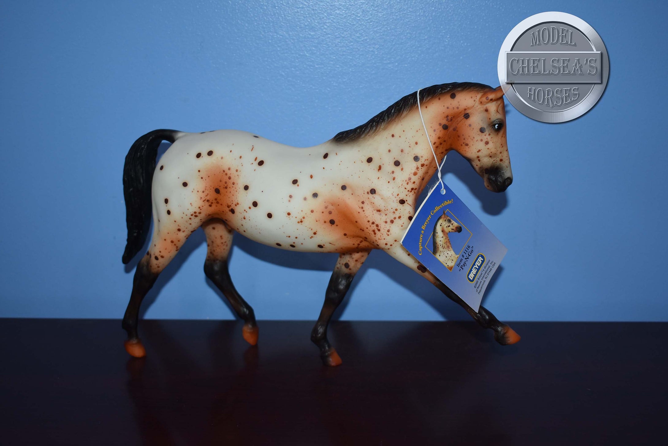 Pay N Go-Appaloosa on the Hanoverian Mold-Breyer Traditional