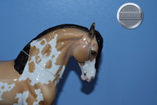 Load image into Gallery viewer, Destello-Loyalty Club Exclusive-LE of 43-Glossy-Peter Stone Andalusian