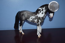 Load image into Gallery viewer, Obscuro-Loyalty Club Exclusive-LE of 32-Glossy-Peter Stone Andalusian