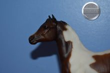 Load image into Gallery viewer, Legacy Gift Set FOAL ONLY-Standing Stock Horse Foal Mold-Breyer Traditional