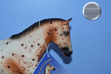 Load image into Gallery viewer, Pay N Go-Appaloosa on the Hanoverian Mold-Breyer Traditional