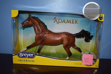 Load image into Gallery viewer, Adamek-Broken Box-Akhal Teke Mold-New in Box-Breyer Traditional