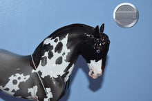 Load image into Gallery viewer, Obscuro-Loyalty Club Exclusive-LE of 32-Glossy-Peter Stone Andalusian