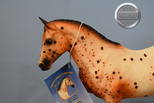 Load image into Gallery viewer, Pay N Go-Appaloosa on the Hanoverian Mold-Breyer Traditional