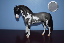 Load image into Gallery viewer, Obscuro-Loyalty Club Exclusive-LE of 32-Glossy-Peter Stone Andalusian