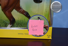 Load image into Gallery viewer, Adamek-Broken Box-Akhal Teke Mold-New in Box-Breyer Traditional