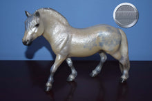 Load image into Gallery viewer, JAH "Nice"-Fjord Mold-Breyer Traditional