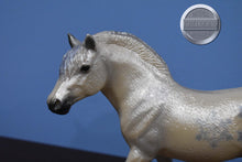 Load image into Gallery viewer, JAH "Nice"-Fjord Mold-Breyer Traditional
