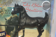 Load image into Gallery viewer, The Black Stallion with Book-Sham Mold-New in Box-Breyer Traditional