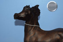 Load image into Gallery viewer, Durango-Smoky Mold-Breyer Traditional