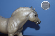 Load image into Gallery viewer, JAH "Nice"-Fjord Mold-Breyer Traditional