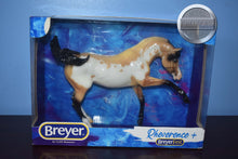 Load image into Gallery viewer, Glossy Rheverence-Breyerfest Exclusive-Ashquar Mold-Breyer Traditional