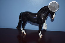 Load image into Gallery viewer, Night Life-Glossy-OOAK-Glossy-Peter Stone Andalusian